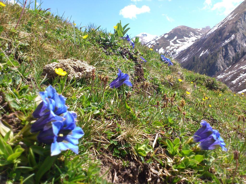 Ferienwohnungen Bailom Elbigenalp Esterno foto